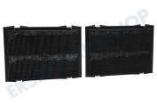 Etna 24236 Wrasenabzug Kohlenstofffilter geeignet für u.a. T4479FRVS, PSK985RVS