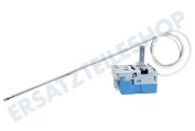 Etna 182388 Mikrowelle Thermostat Stiftsensor geeignet für u.a. A6405FTRVSE01, A3197FTRVSE01, OM965ZTE01