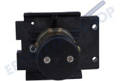 DeLonghi 7313259921 Kaffeemaschine Brüeinheit-Kolben geeignet für u.a. ECAM61075, ECAM63055