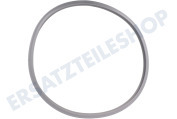 Alternatief 3868700205 Pfanne Dichtungsgummi 26 cm Schnellkochtopf geeignet für u.a. Vitavit-Royal > 1997