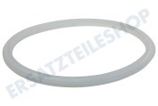 Tefal X9010101  Dichtungsgummi Ring für Schnellkochtopf 220mm Durchmesser geeignet für u.a. Secure5, Secure5 Neo, Swing, Securyclic Inox