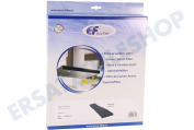 Eurofilter C00630944 Abzugshauben Filter Nanosorb 1100 geeignet für u.a. FORDELAKTIG50449403, FORDELAKTIG90534852