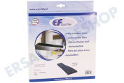 Eurofilter C00780977 Abzugshaube Filter Nanosorb 1100 geeignet für u.a. FORDELAKTIG40515865, FORDELAKTIG40528325