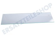 Pelgrim 23790 Abzugshaube Glasplatte Dampfschirm 482x137mm geeignet für u.a. MSL600RVSP02, SLK600KORP02