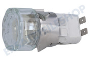 Etna 714994 Herd Lampe geeignet für u.a. PFI7160WHITE, FIV760RVS