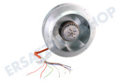 Novy 6830083 Abzugshaube Motor 1200 geeignet für u.a. D7559991, D7459991