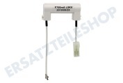 LG Mikrowelle EAF36358302 Sicherung geeignet für u.a. MS1932E, MS2337B, MB4047C