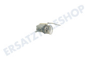 30601000055 Thermostat