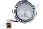 Elica 2006AP-EX  Lampe Halogen, komplett geeignet für u.a. 12 Volt, 10 Watt, G4