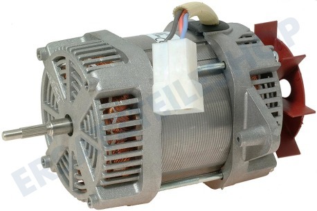 Frenko Trockner Motor 150Watt S80-45ANP3723