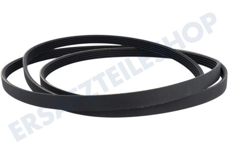 Miele Trockner Keilrippenriemen Hutchinson 1900 J5