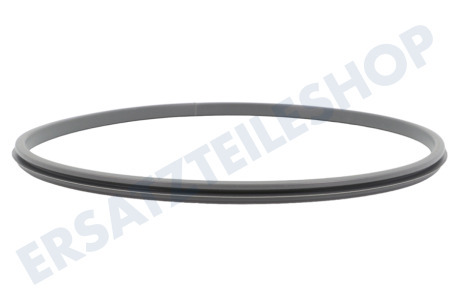 Samsung  DC62-00696B Dichtungsgummi vom Türglas