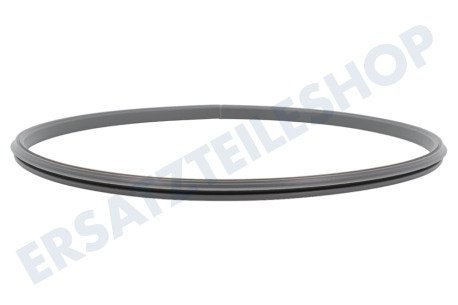 Samsung  DC62-00696B Dichtungsgummi vom Türglas