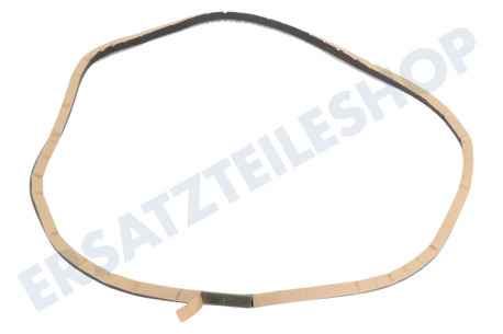 Samsung Trockner DC93-00125B Filzband Vorderseite