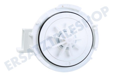 Alternative  Magnetpumpe