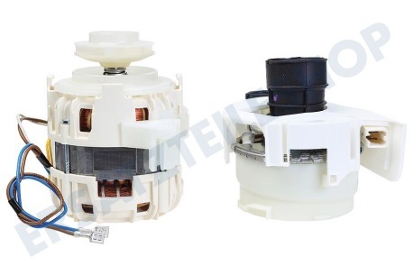 AEG Spülmaschine Pumpe Umwälzpumpe inklusive Element