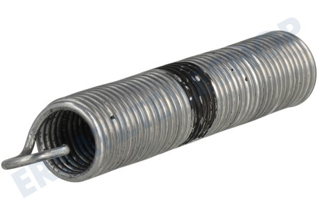 Amica Spülmaschine Feder der Tür