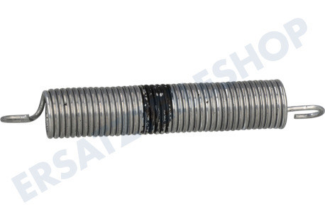 Amica Spülmaschine Feder der Tür