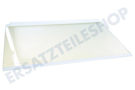 Zanussi Kühlschrank Glasplatte 458,5 x 286 mm.