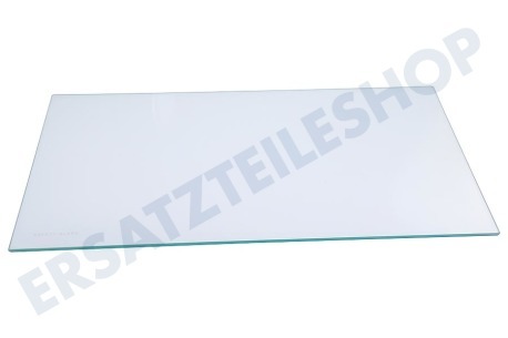 Zanker Kühlschrank 2649011042 Glasplatte