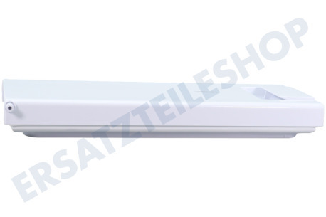 Bauknecht Kühlschrank Gefrierfachklappe mit Griff