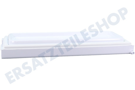 Bauknecht Kühlschrank Gefrierfachklappe mit Griff