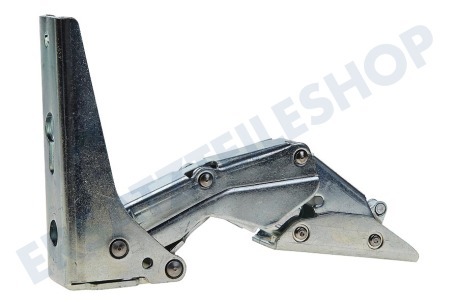 Tecnik Kühlschrank 483620, 00483620 Scharnier links oben/rechts unten