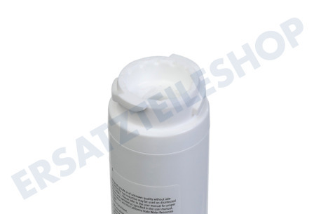 Balay Kühlschrank 11034151 Wasserfilter Amerikanische Kühlschränke