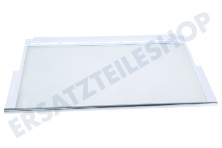 Siemens Kühlschrank 743196, 00743196 Glasplatte mit Leiste