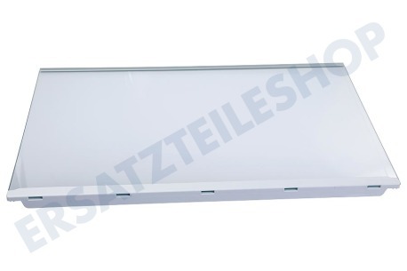 Neff Kühlschrank Glasplatte komplett mit Leisten