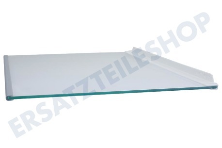 Neff Kühlschrank Glasplatte komplett mit Leisten