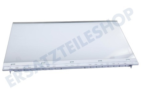 Siemens Kühlschrank Glasplatte komplett mit Leisten