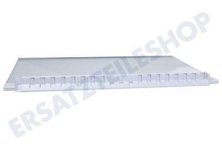 Siemens Kühlschrank Glasplatte komplett mit Leisten