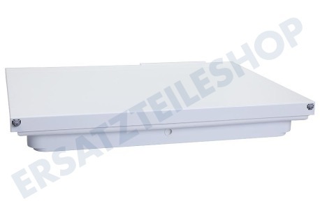 Neff Kühlschrank 11014310 Gefrierfachtür