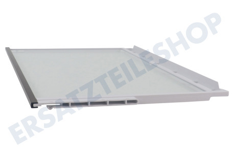 Bosch Kühlschrank Glasplatte Glasablage