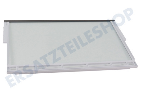 Bosch Kühlschrank Glasplatte Glasablage