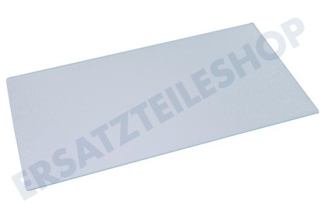 Zerowatt Kühlschrank Glasplatte 470x245mm