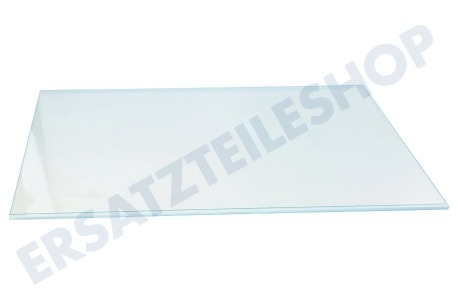 Blomberg Kühlschrank Glasplatte Ablageplatte (ohne Leisten)