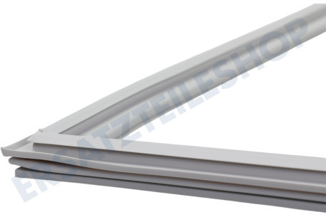 Gorenje Kühlschrank Türgummi