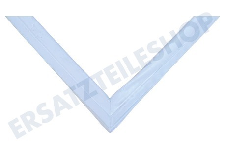 Liebherr Kühlschrank Dichtungsgummi Weiß, 1540 x 729 mm