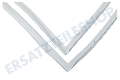 Liebherr Kühlschrank Türgummi