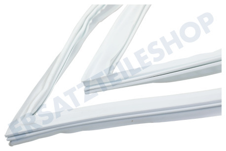 Liebherr Kühlschrank Türgummi