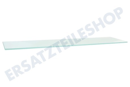 Liebherr Kühlschrank Glasplatte des Türfachs