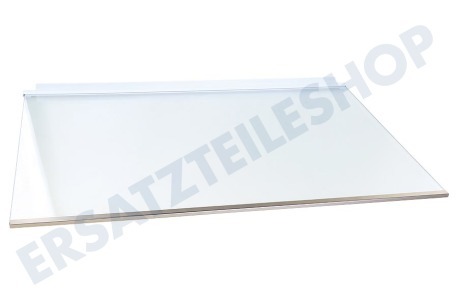 Liebherr Kühlschrank 7272874 Glasplatte