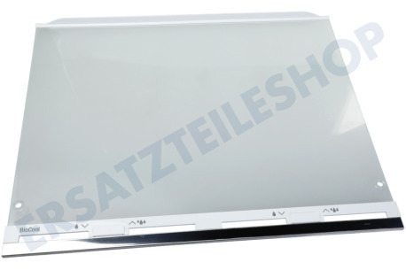 Liebherr Kühlschrank 7276276 Glasplatte komplett mit Leisten