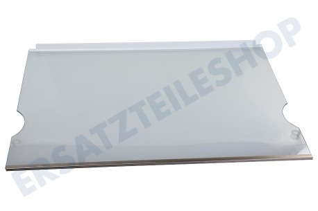 Liebherr Kühlschrank 7257476 Glasplatte groß, komplett