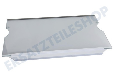 Liebherr Kühlschrank 7276029 Glasplatte komplett
