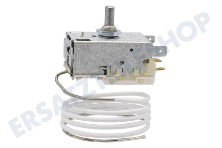 Alternative Kühlschrank Thermostat K59-H2800-L2621 -31-19 + 5g