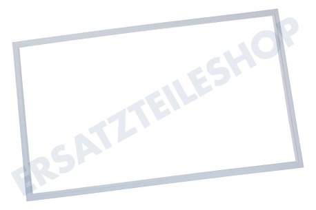 Hanseatic Kühlschrank Dichtungsgummi für Kühleschrank 965x570mm