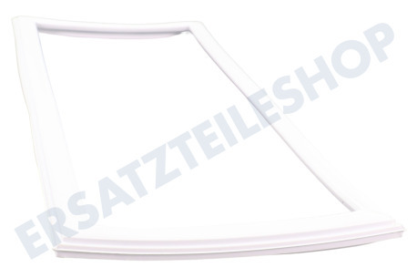 Hotpoint Kühlschrank Türdichtung